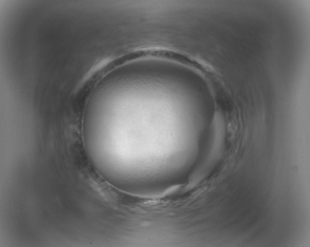 X0000082991255200702011420