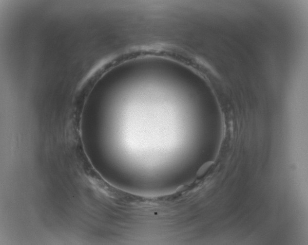 X0000082991256200702011420