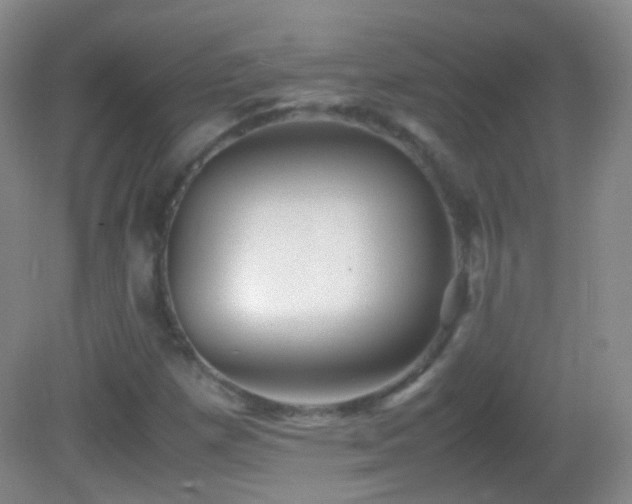 X0000082991257200702011420