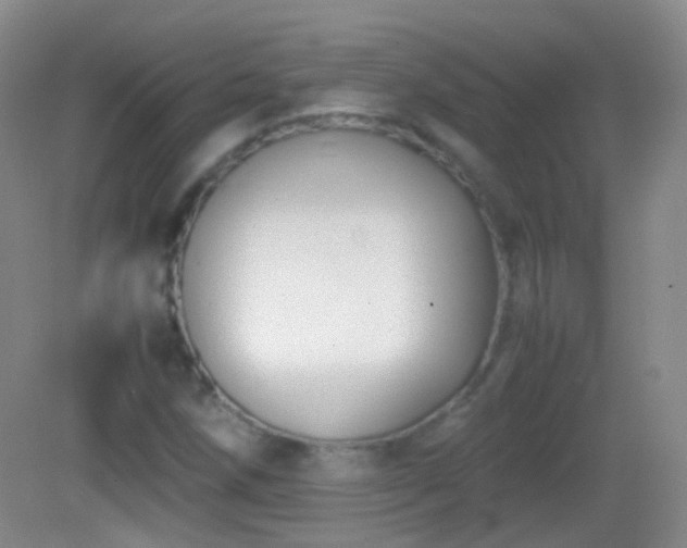 X0000082991258200702011420