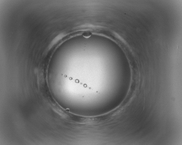 X0000082991259200702011420