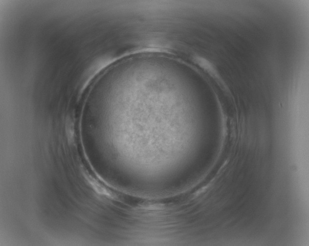 X0000082991260200702011420