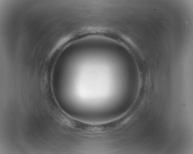 X0000082991261200702011420