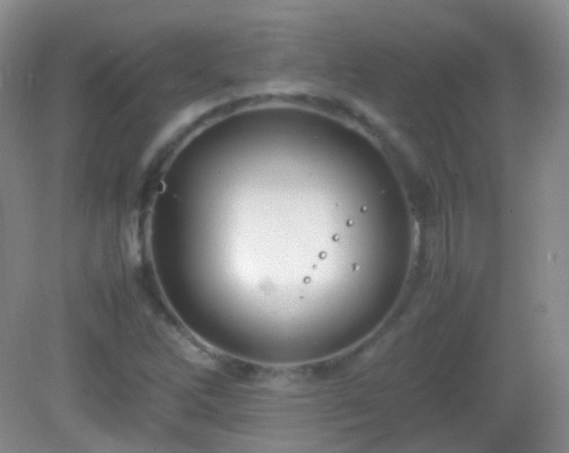 X0000082991262200702011420