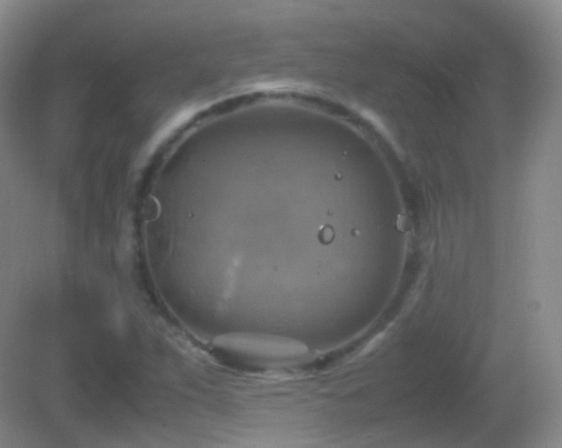 X0000082991263200702011420