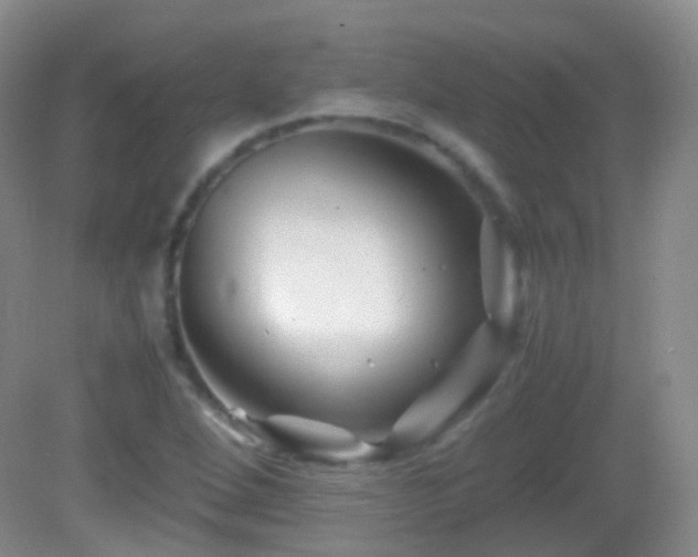 X0000082991264200702011420