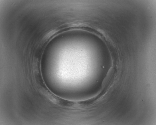 X0000082991265200702011420