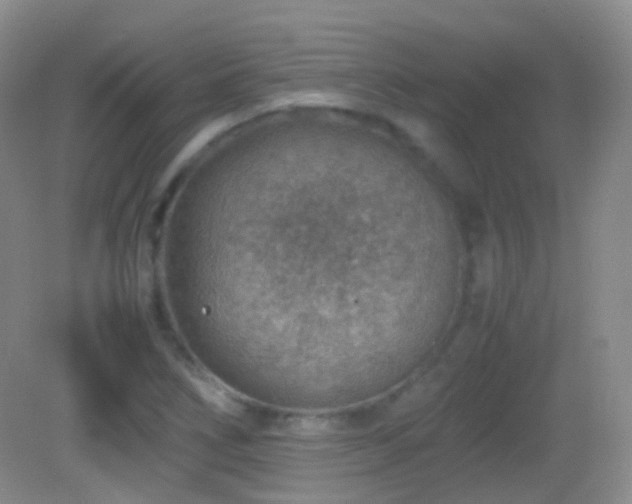 X0000082991266200702011420