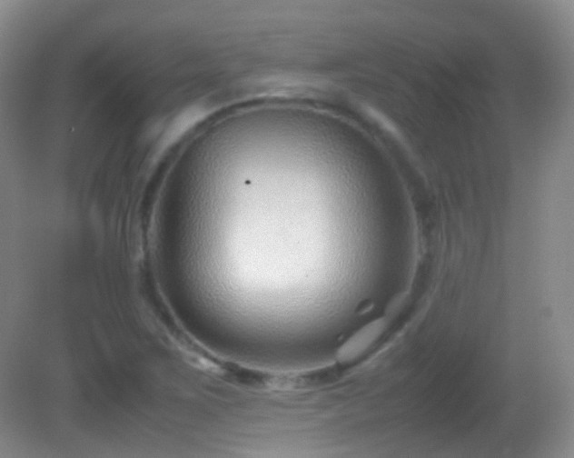 X0000082991267200702011420