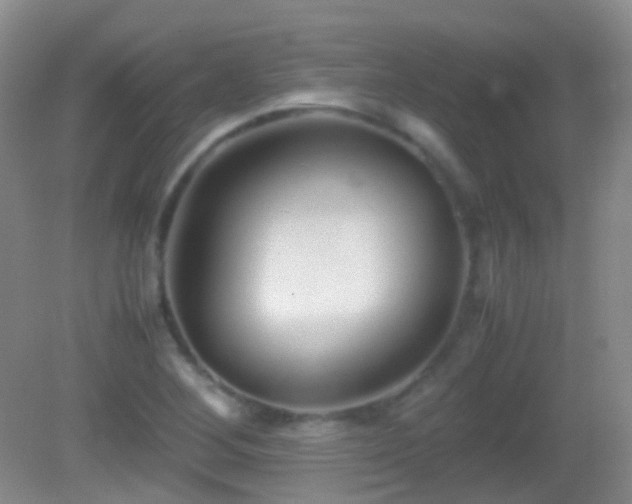 X0000082991268200702011420