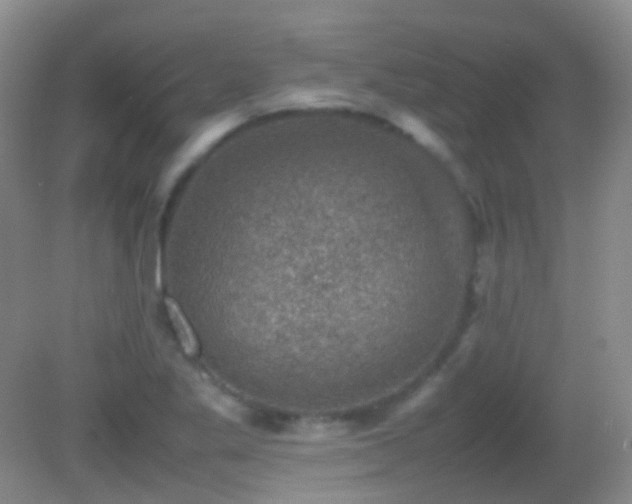 X0000082991269200702011420