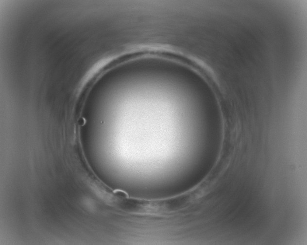 X0000082991271200702011420