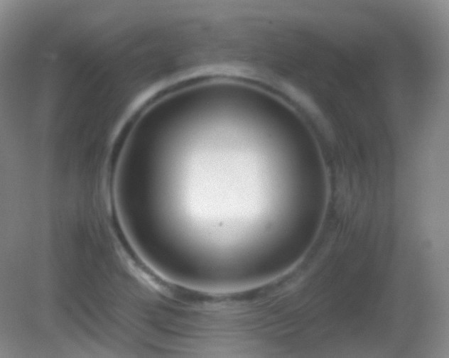 X0000082991272200702011420