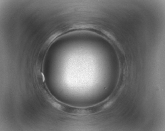 X0000082991273200702011419