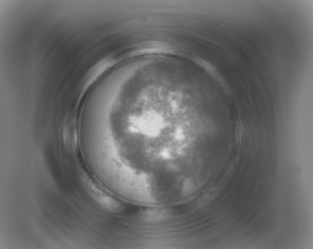 X0000082991274200702011419