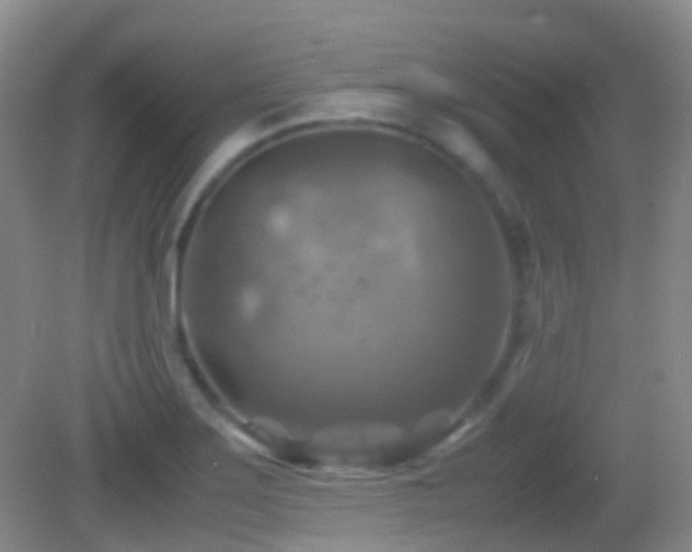 X0000082991275200702011419