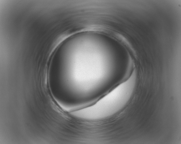 X0000082991276200702011419