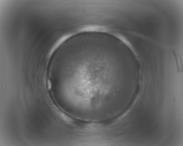 X0000082991277200702011419