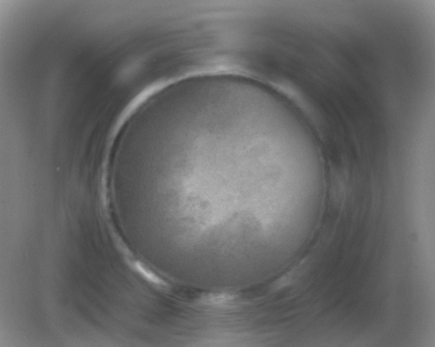 X0000082991278200702011419