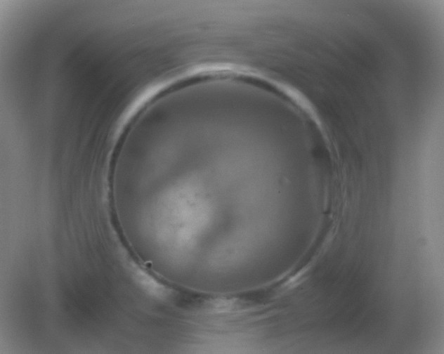 X0000082991279200702011419