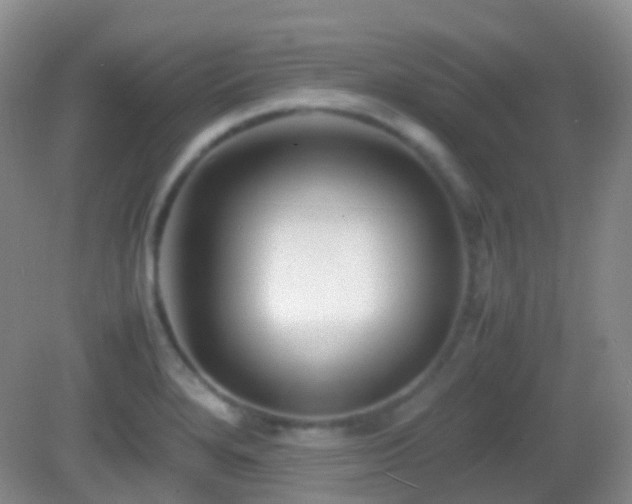 X0000082991280200702011419