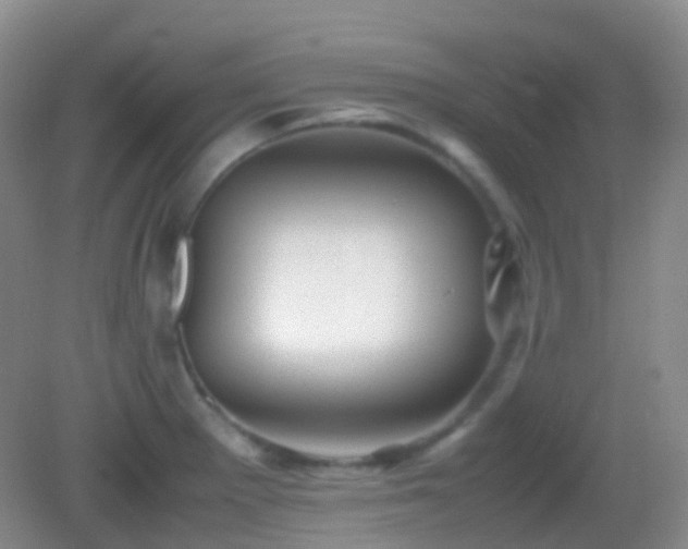 X0000082991281200702011419