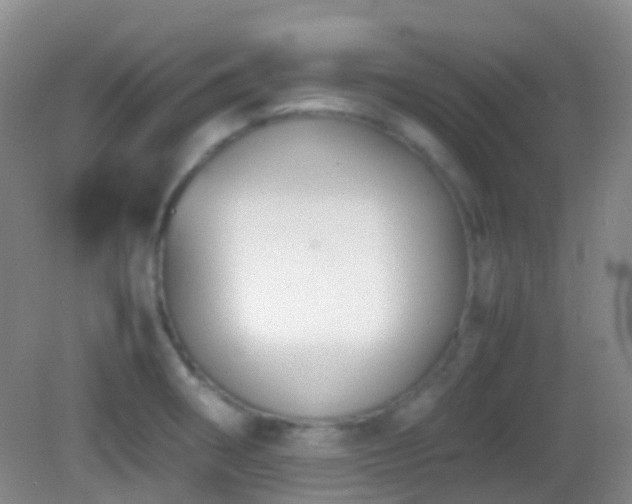 X0000082991282200702011419