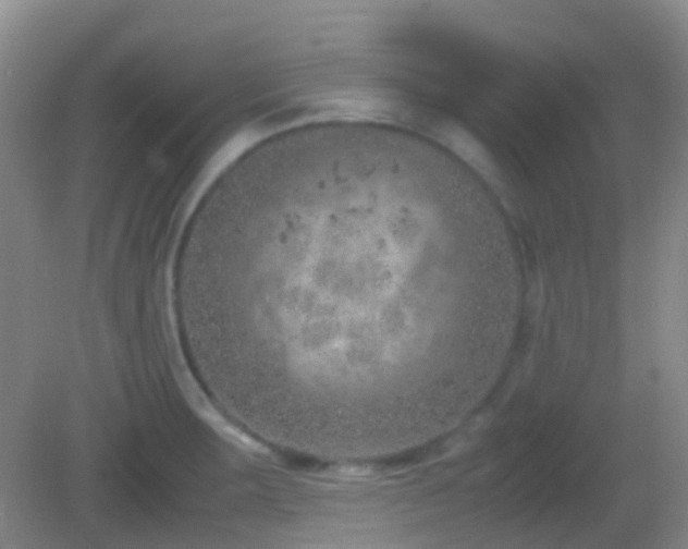 X0000082991283200702011419