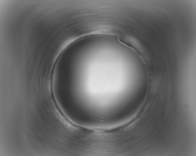 X0000082991284200702011419