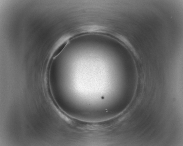 X0000082991285200702011419