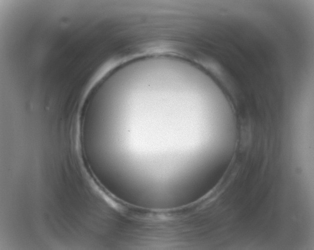 X0000082991286200702011419