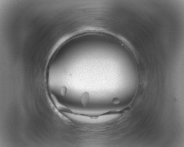 X0000082991287200702011419