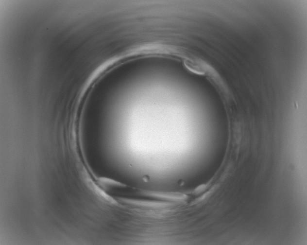 X0000082991288200702011419