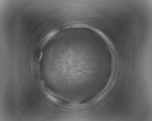 X0000082991289200702011419