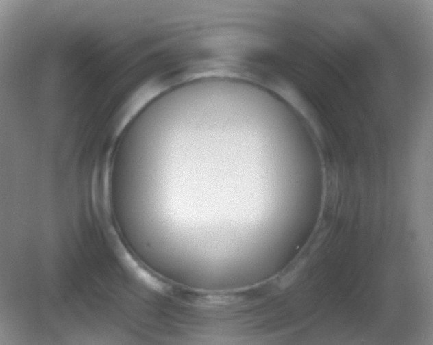 X0000082991290200702011419