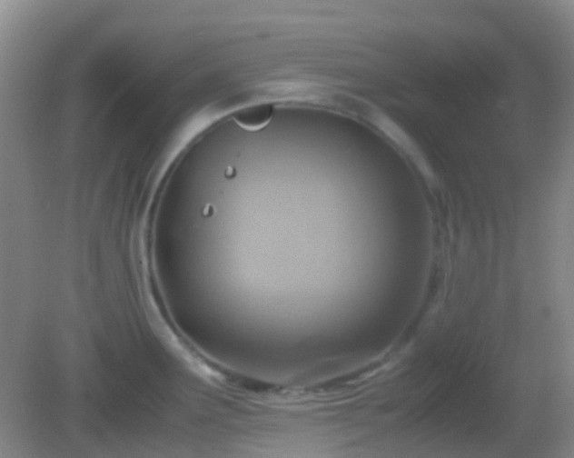 X0000082991291200702011419