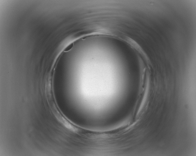 X0000082991292200702011419