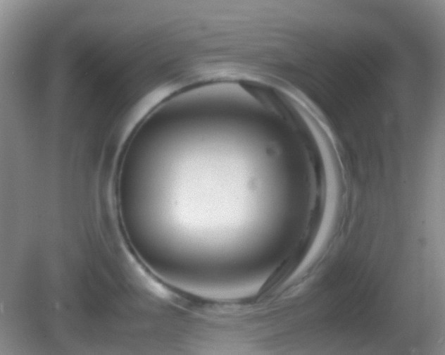 X0000082991293200702011419