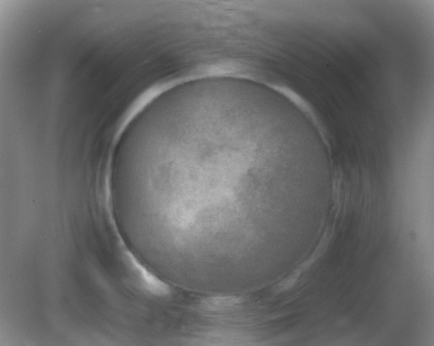 X0000082991294200702011419