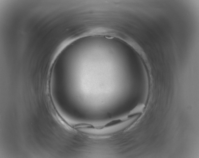 X0000082991296200702011419