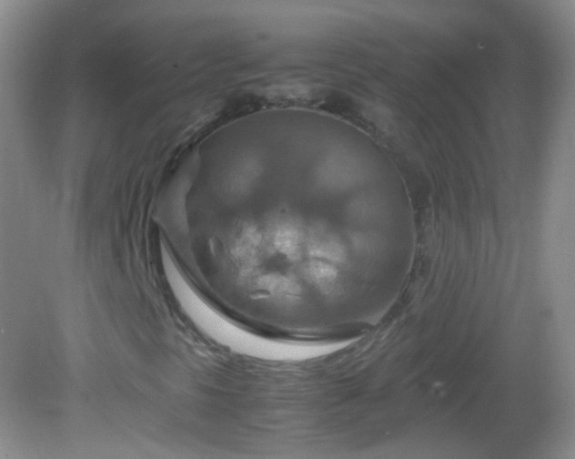 X0000082991297200702011418