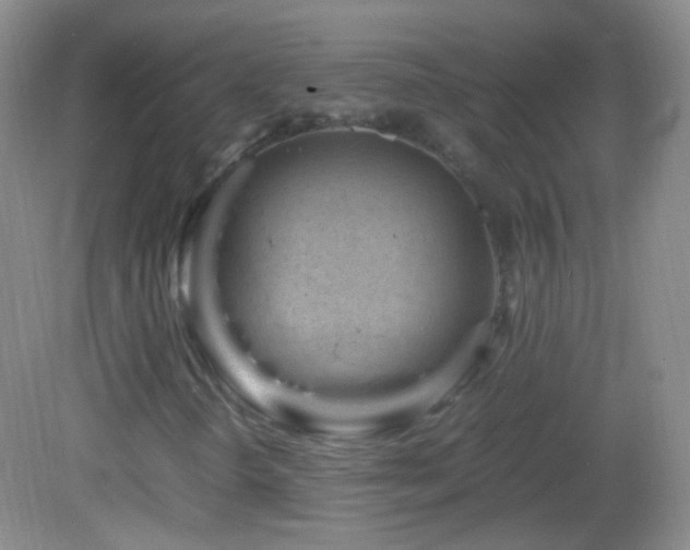 X0000082991298200702011418