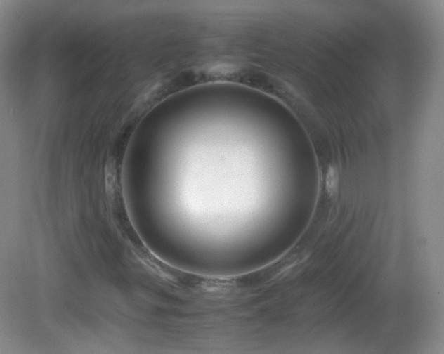 X0000082991299200702011418