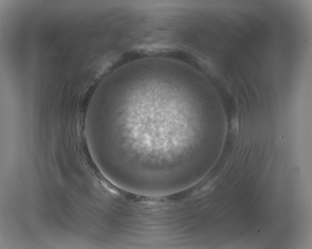 X0000082991300200702011418