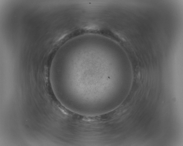 X0000082991301200702011418