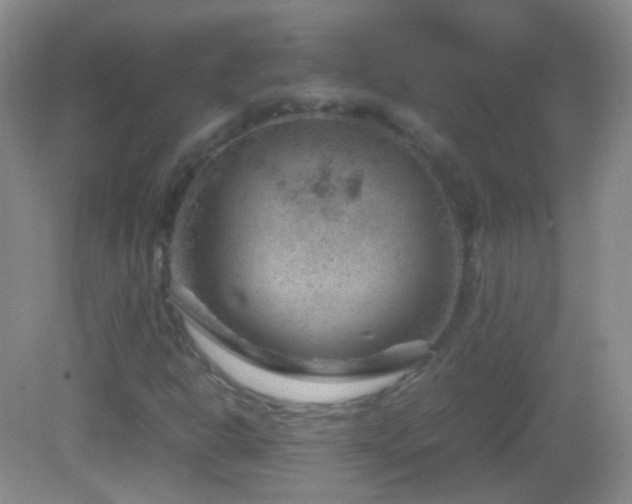 X0000082991302200702011418