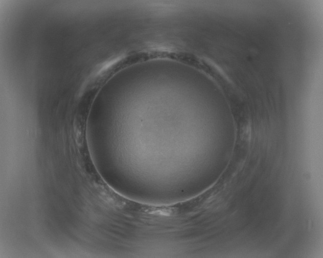 X0000082991303200702011418