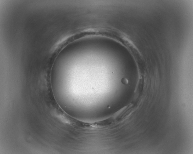 X0000082991304200702011418