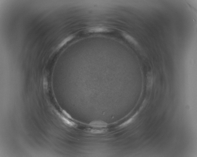 X0000082991305200702011418