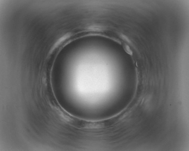 X0000082991307200702011418